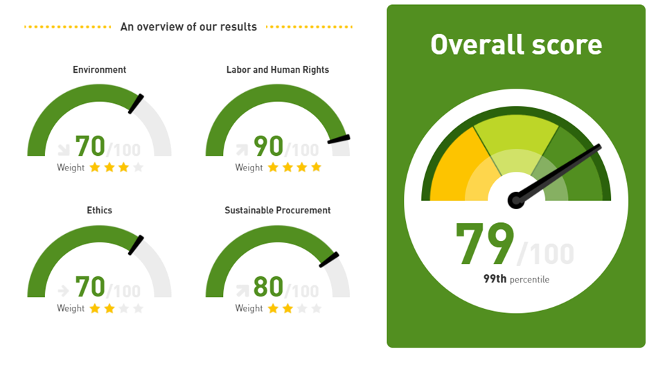 Results EcoVadis.png